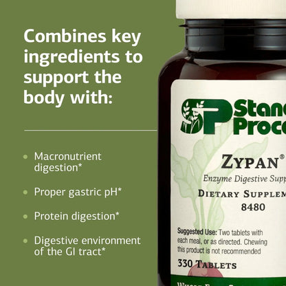 Standard Process Zypan - Digestive Enzyme Support with Pancreatin, Pepsin & HCl | 330 Tablets BritishVita | Premium UK Vitamins & Wellness Supplements