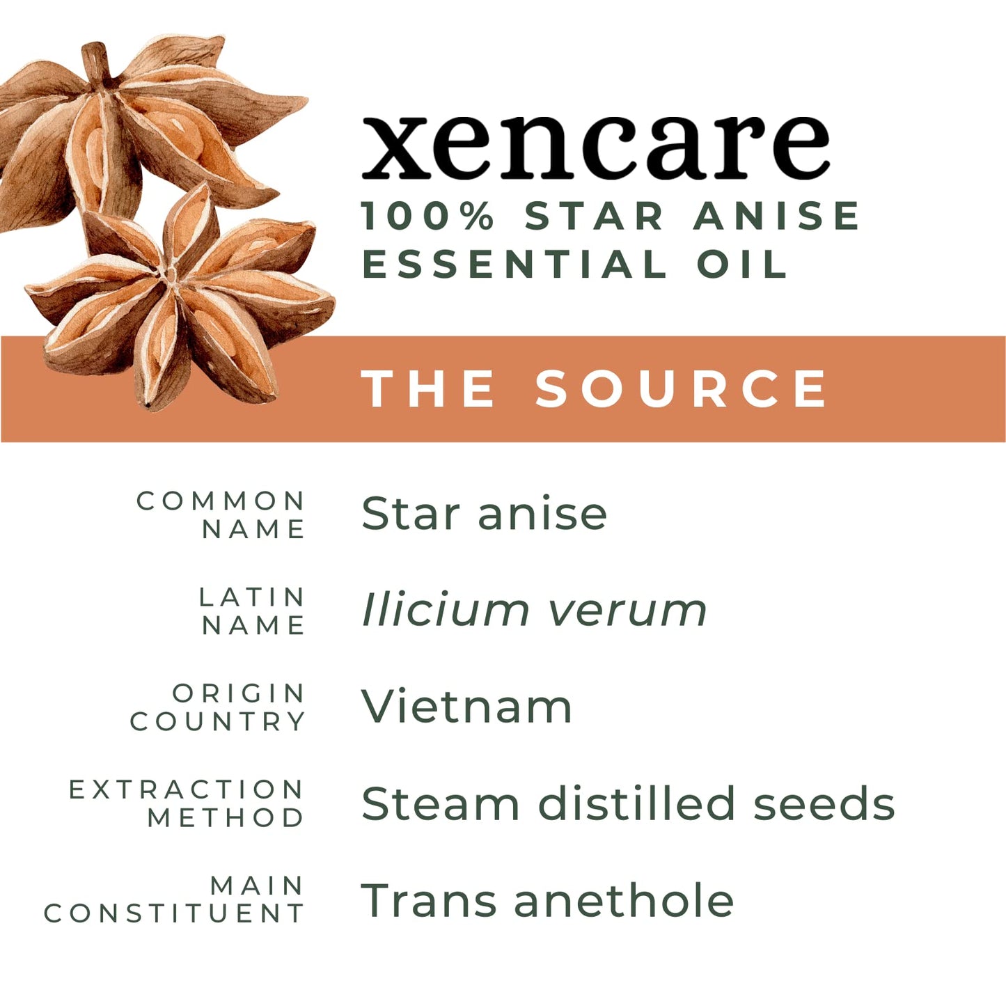 Star Anise Essential Oil – USDA Organic, Food Grade | xencare 10ml (0.33 fl oz) – 100% Pure & Undiluted