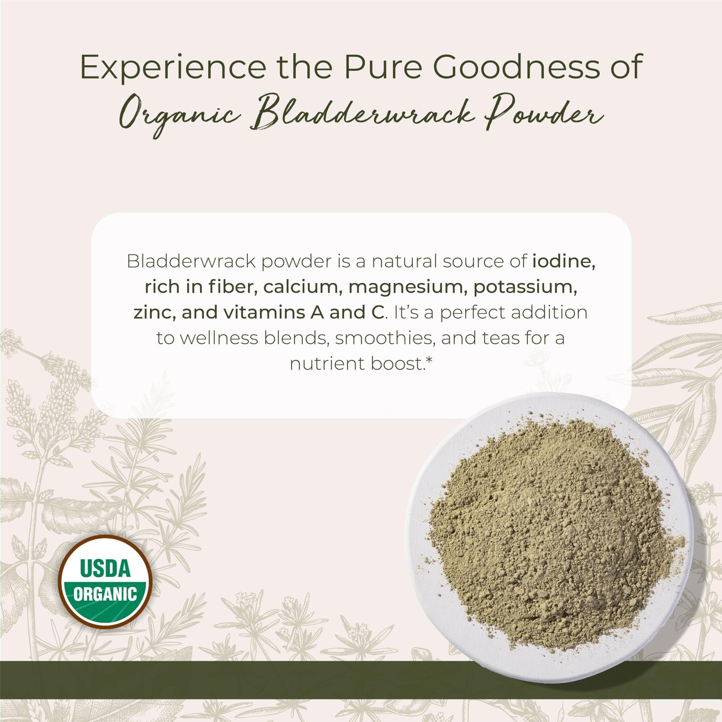 Starwest Botanicals Dried Bladderwrack Organic Powder - Natural Seaweed, Iodine, Potassium, Zinc, Calcium | Kosher, Non-GMO, 1 lb Bulk