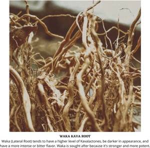 Starwest Botanicals Kava Kava Root C/S - 4 oz | Piper methysticum | Fiji