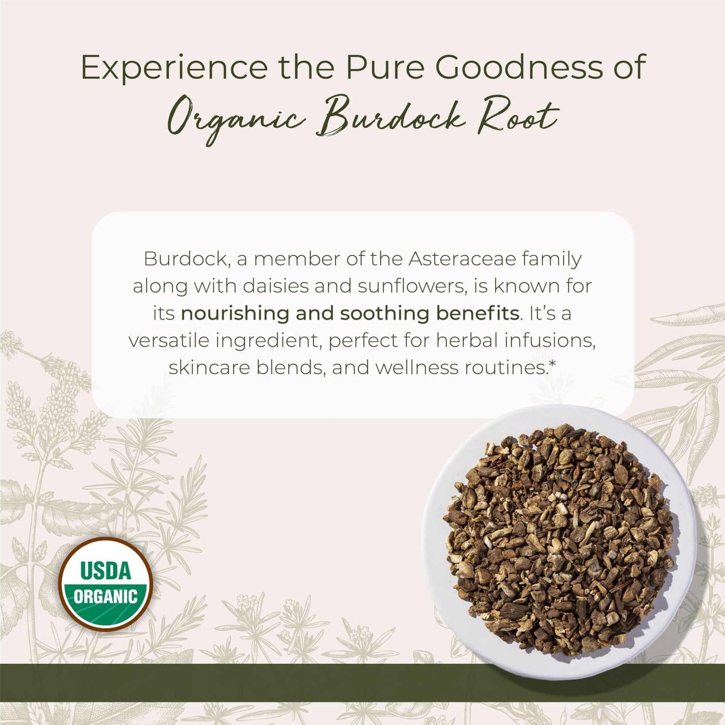 Starwest Botanicals Burdock Root Organic - 1 lb Bulk, Kosher, Non-GMO