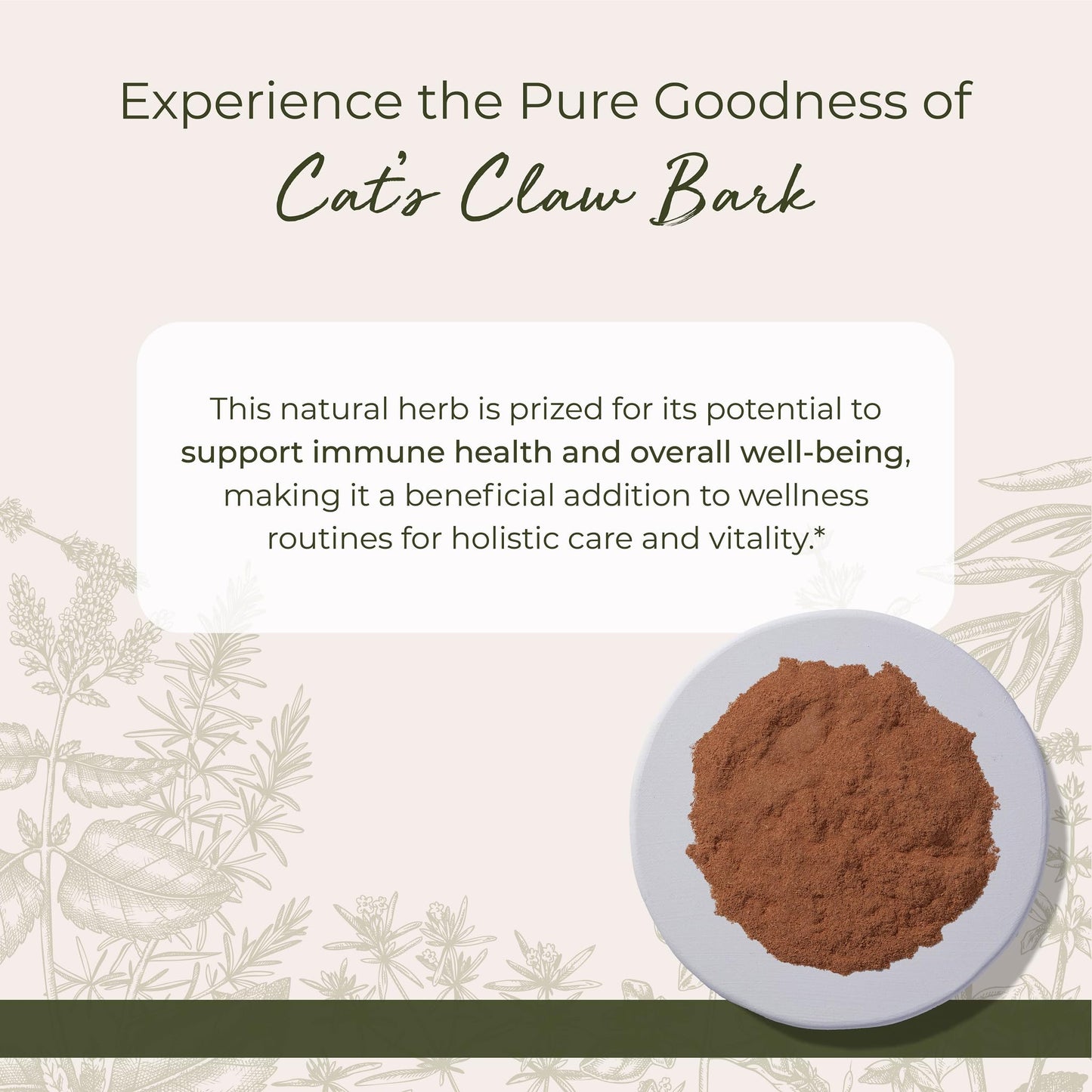 Starwest Cat's Claw Bark Powder - Wildcrafted, Kosher, 4 oz Pouch