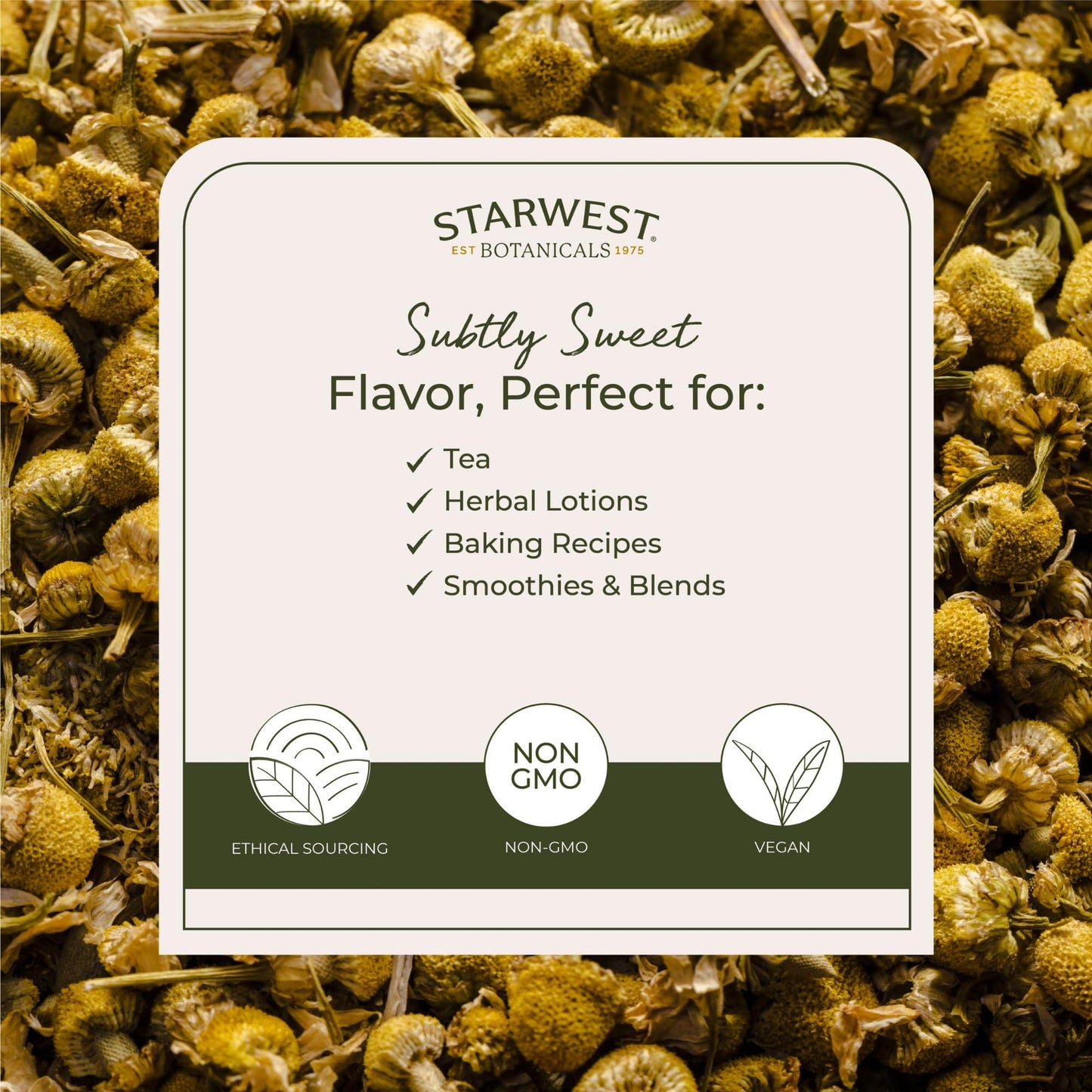 Starwest Botanicals Organic Chamomile Flowers Whole – 1 lb Bag, Kosher, Non-GMO, Egypt Sourced