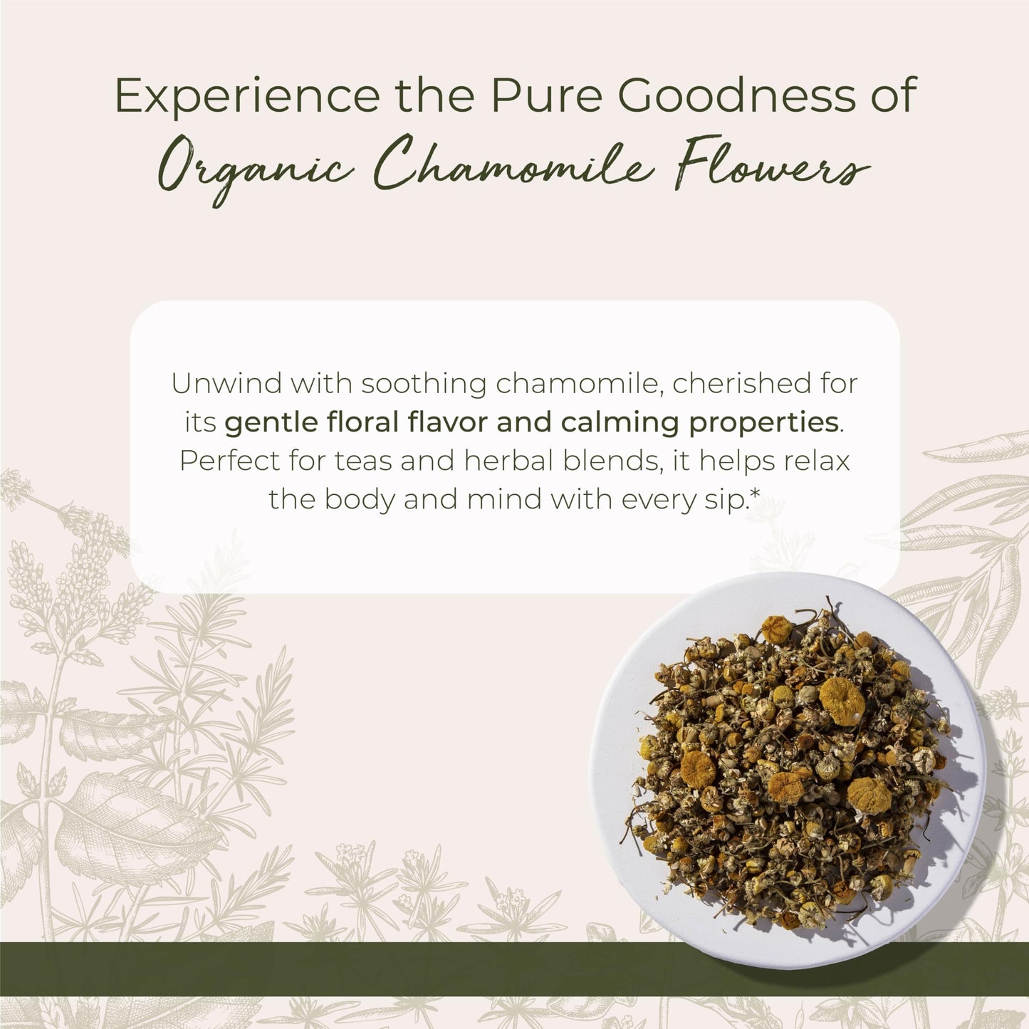 Starwest Botanicals Organic Chamomile Flowers Whole – 1 lb Bag, Kosher, Non-GMO, Egypt Sourced