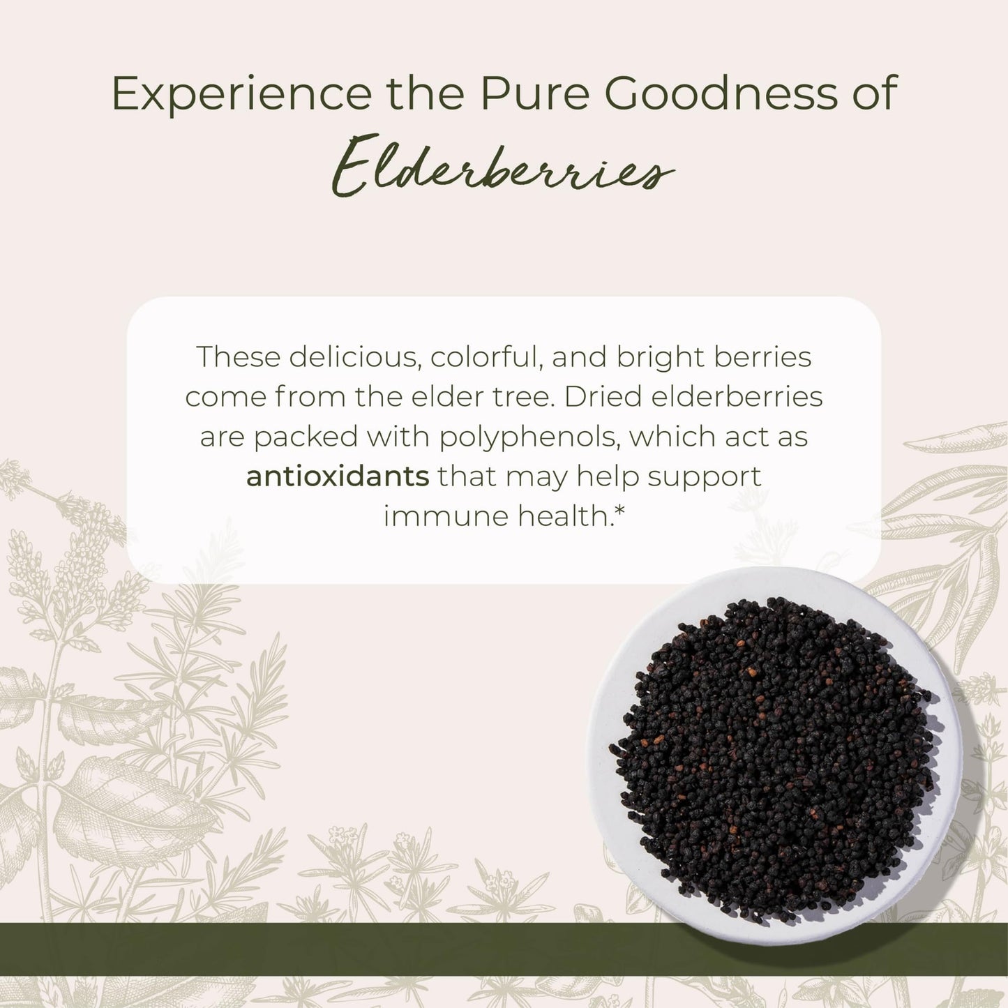 Starwest Botanicals Whole Elderberries - Dried, Kosher, Wildcrafted (1 lb Bulk)