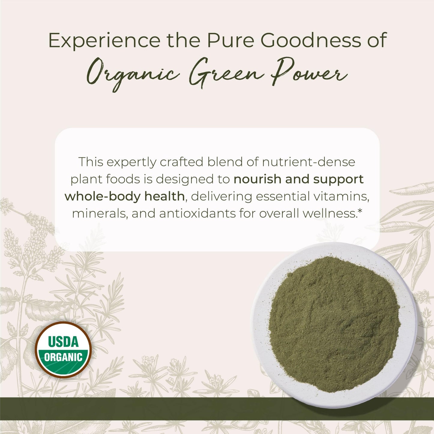 Starwest Botanicals Organic GreenPower Blend - 1 lb Green Superfood Powder | Non-GMO