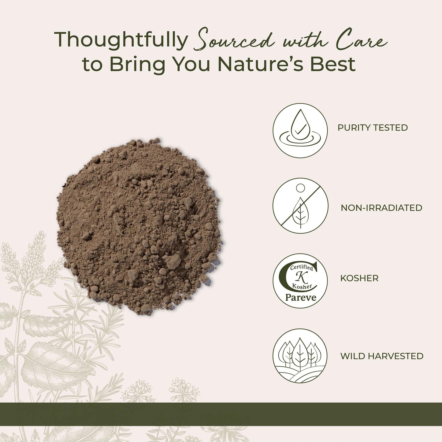 Starwest Botanicals Kava Kava Root Powder 4 oz Pouch | Wildcrafted & Kosher