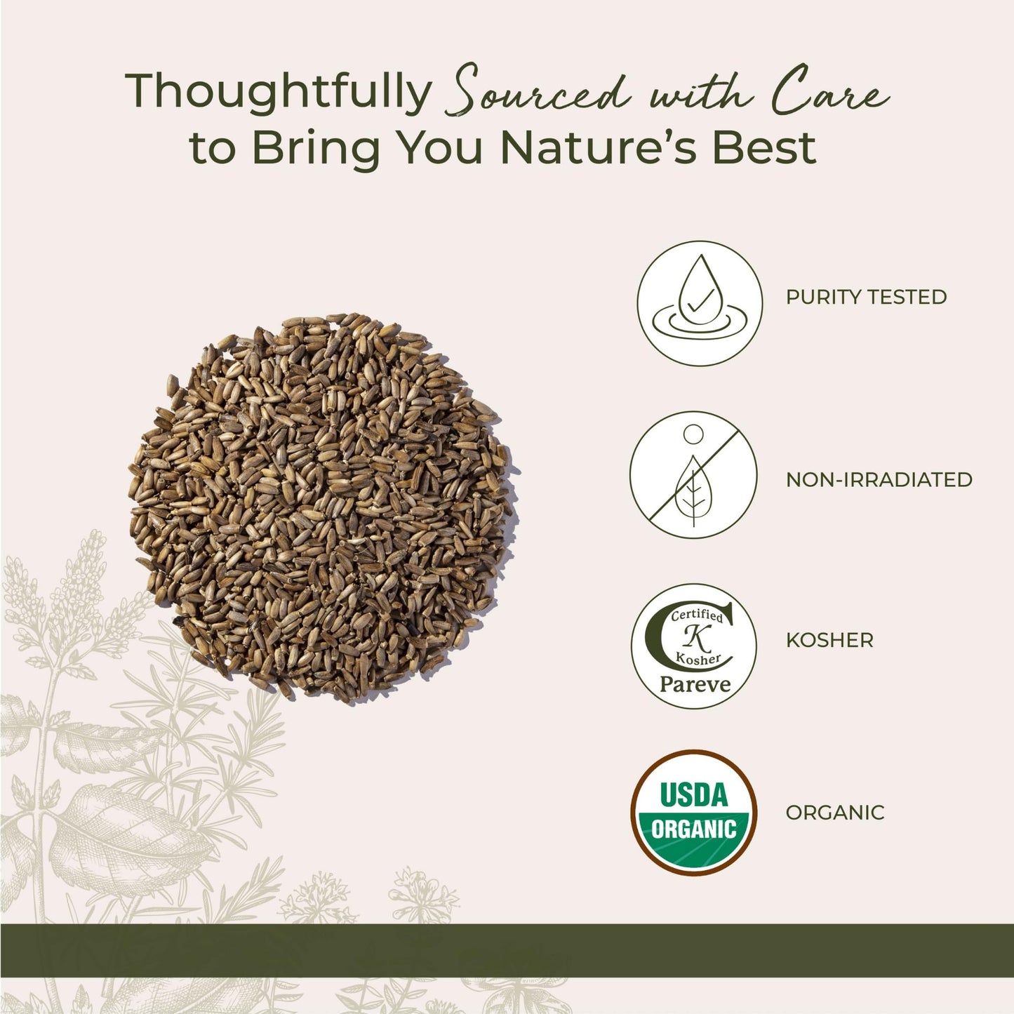 Starwest Botanicals Organic Milk Thistle Seed – 1 lb Bulk, Kosher & Non-GMO