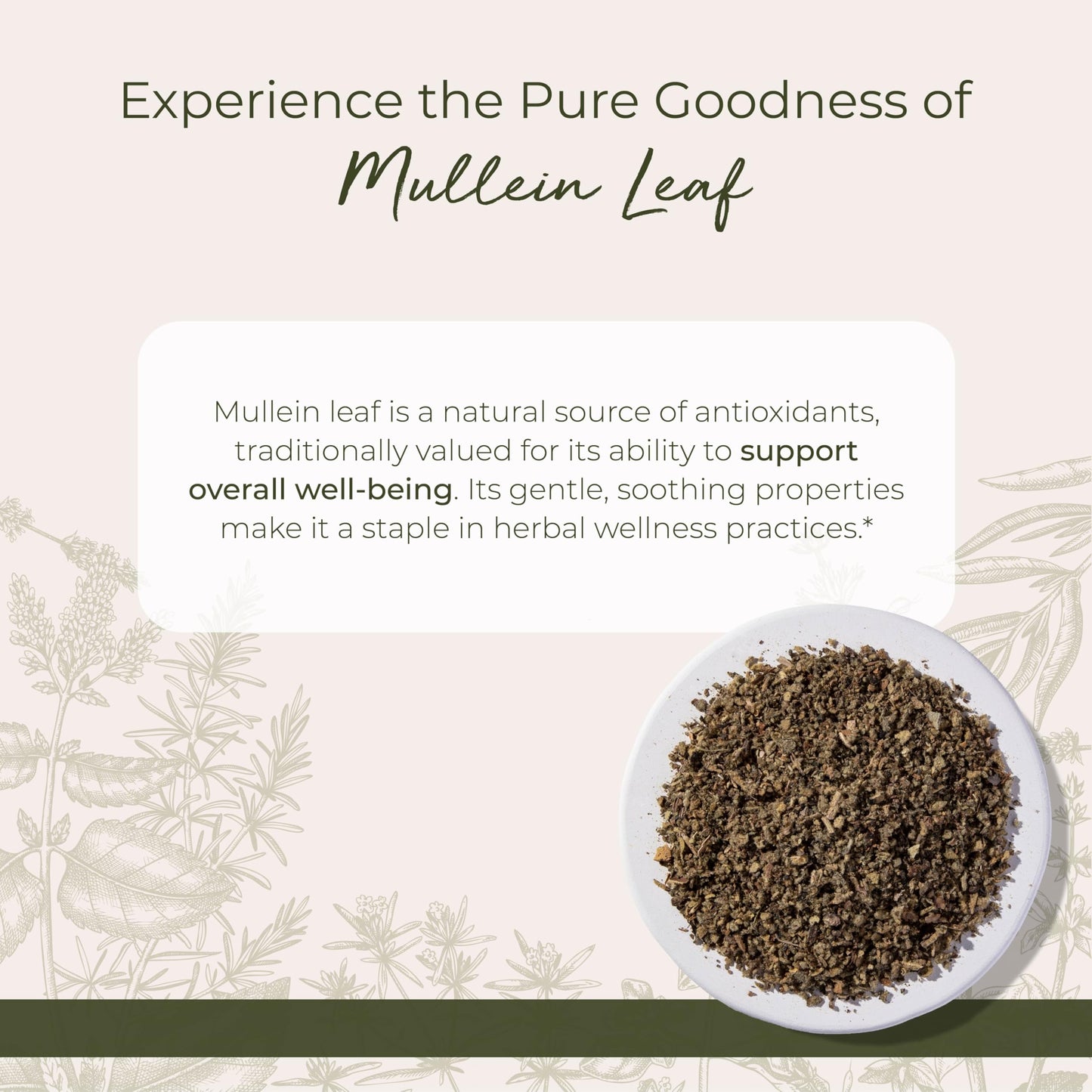 Starwest Botanicals Wildcrafted Mullein Leaf - 1 lb Bulk, Kosher