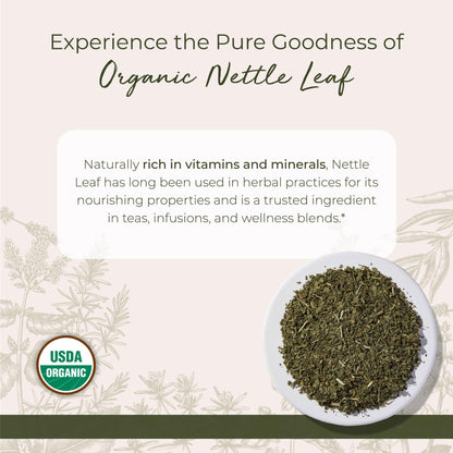 Starwest Organic Nettle Leaf – Dried Nettle Tea, Caffeine Free, 1 lb