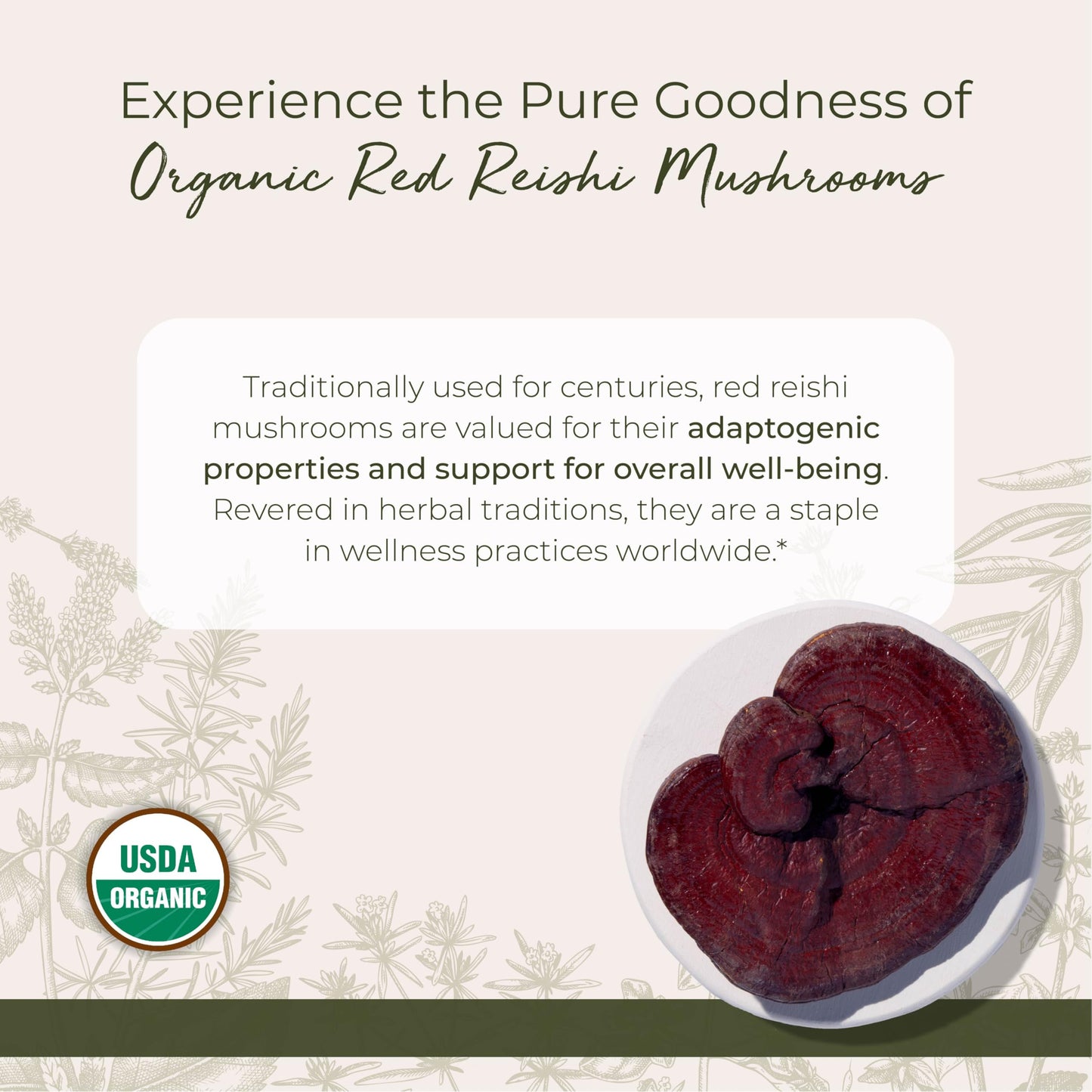 Starwest Botanicals Organic Red Reishi Mushrooms - 4 oz Pouch | Kosher, Non-GMO