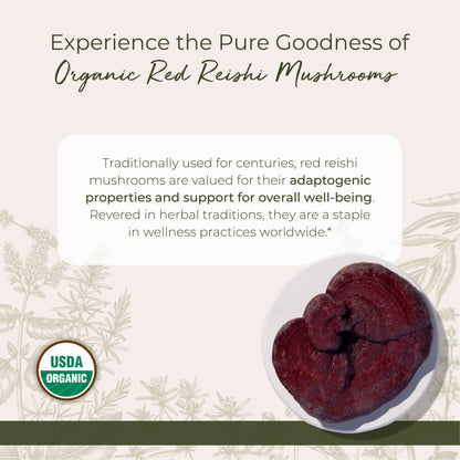 Starwest Botanicals Organic Red Reishi Mushrooms - 4 oz Pouch | Kosher, Non-GMO