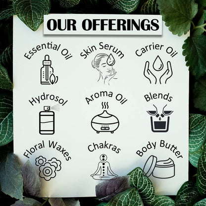 Olibanum Essential Oil (Boswellia carterii) 120ml | Pure, Steam Distilled | dève herbes