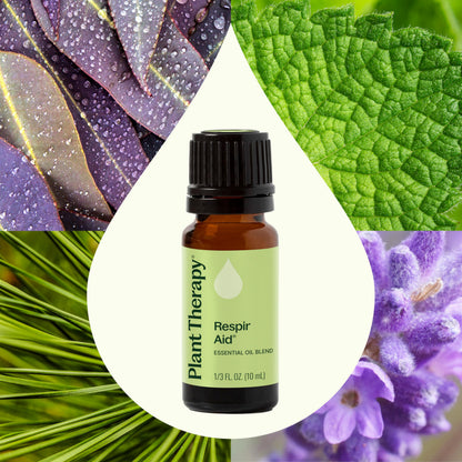 Plant Therapy Respir Aid Essential Oil Blend 10 mL – Sinus, Airway & Congestion Relief (Therapeutic Grade)
