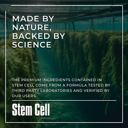 Premium Stem Cell Supplements 1,000mg (360 Caps) – Immunity, Joint Support & Anti-Aging | Spirulina & Chlorella