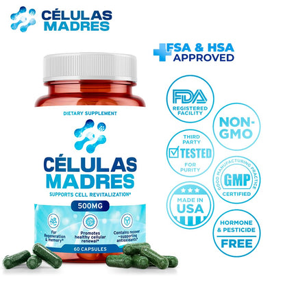 Stem Cell Supplements 500mg – Anti-Aging & Longevity (60 Caps) with Spirulina & Chlorella | Celulas Madre