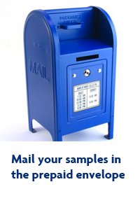 STK Paternity Test Kit – All Lab Fees Included, Free Return Mailer, 99.999% Accurate (2-Person)