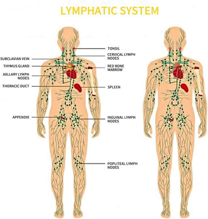 Ginger Massage Oil for Lymphatic Drainage | Natural Body Oil | Arnica & Sore Muscle Relief