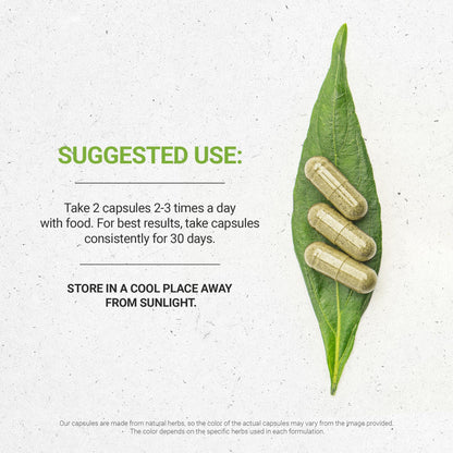 Secrets of the Tribe Stone Root 60 Capsules – 1000 mg, Responsibly Farmed