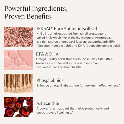 Stonehenge Health Dynamic Krill Oil 1600mg – Triple Strength Antarctic Omega-3 with EPA, DHA, Phospholipids & 2mg Astaxanthin – 60 Softgels