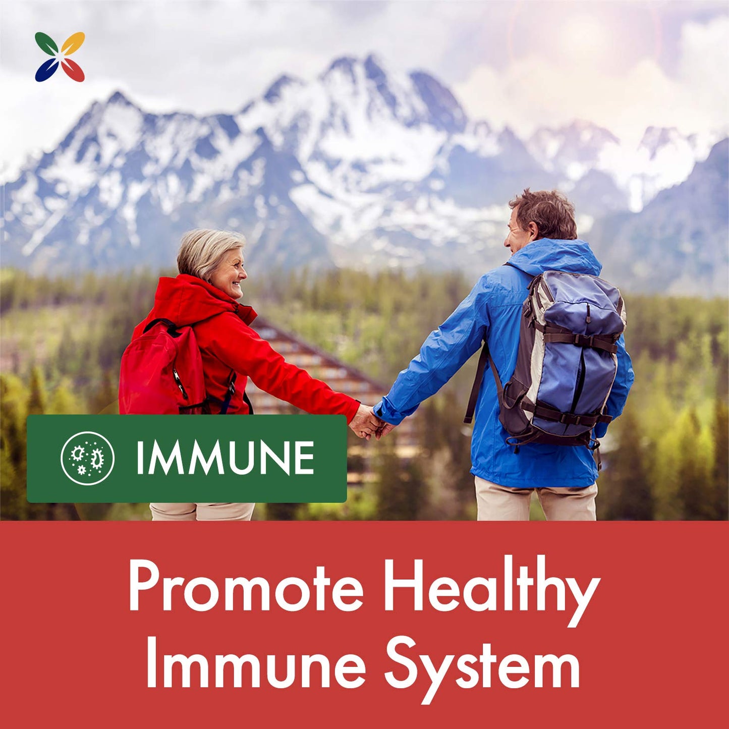 Stop Aging Now Immunity Defense with EpiCor – Immune Support Supplement (60 Vcaps)