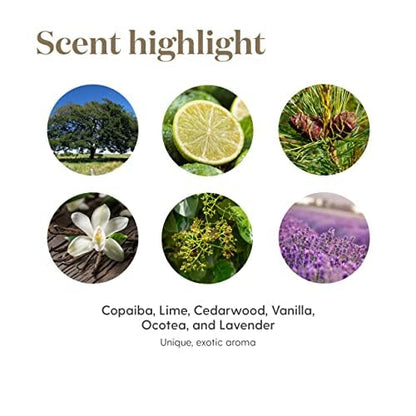 Young Living Stress Away Essential Oil Blend - 100% Pure, Vanilla-Lime Aroma, 5ml (Diffuser & Topical Use)