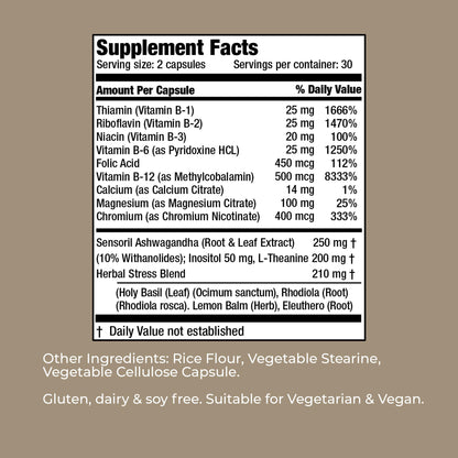 Vitality C American Nutriceuticals Stress Ease - Theanine Stress Balance Supplement for Calming, Mood Support & Cortisol Reduction