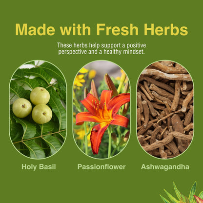 Herbs Etc. Stress ReLeaf - Herbal Stress Support Supplement | Relaxation & Gluten-Free | 60 Softgels (60 Servings)