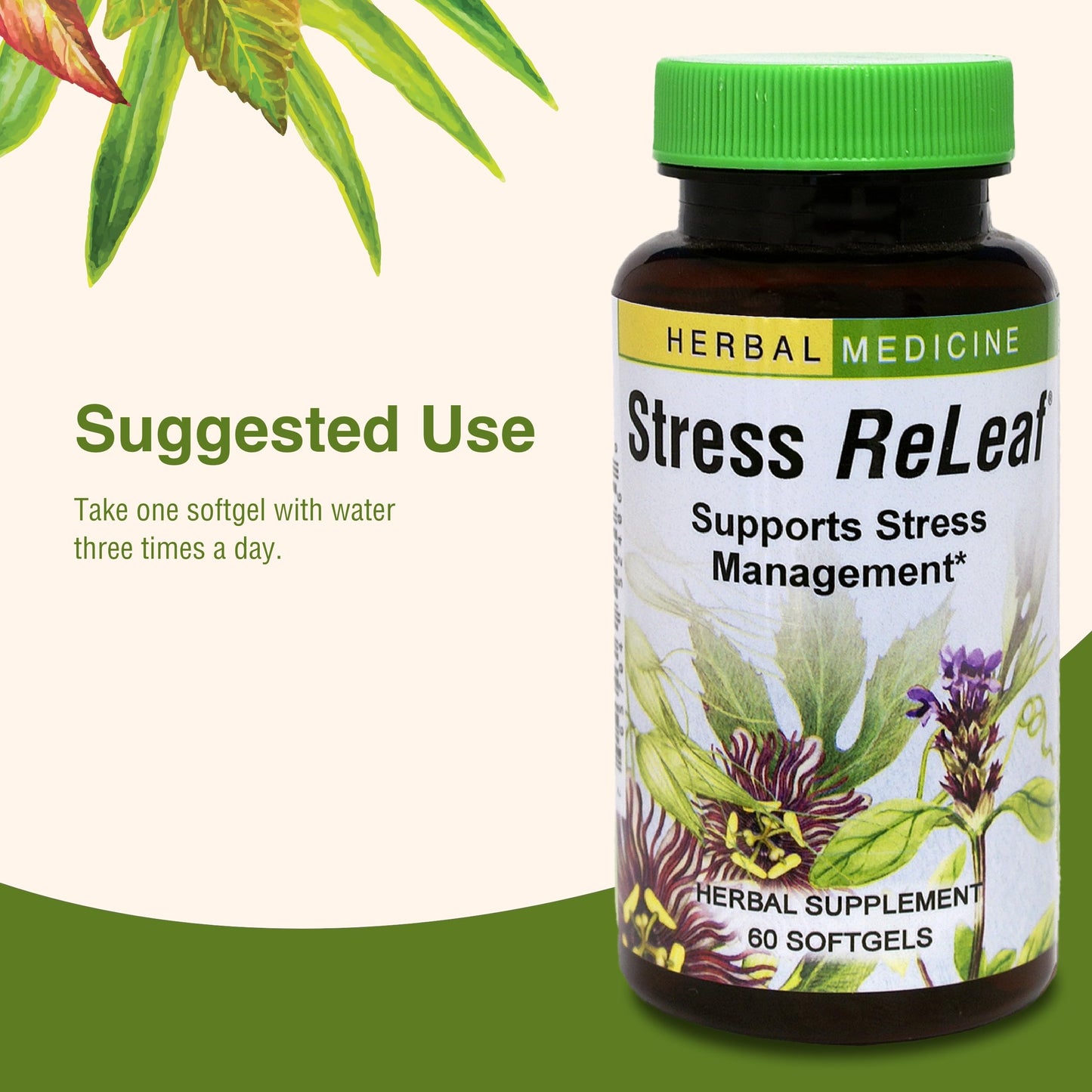 Herbs Etc. Stress ReLeaf - Herbal Stress Support Supplement | Relaxation & Gluten-Free | 60 Softgels (60 Servings)