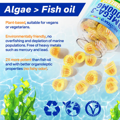 Vegan Omega-3 Gummies 1000mg + Turmeric | Algae DHA 600mg & EPA 300mg | Sugar Free, 60 Count
