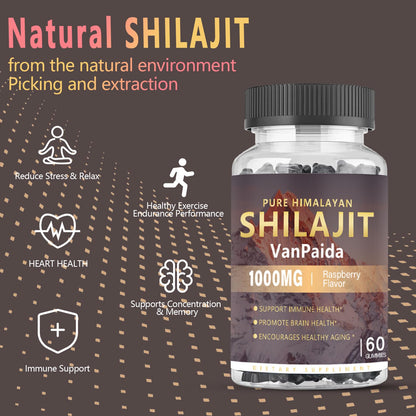 Sugar Free Shilajit Gummies - Energy, Brain & Immune Support | 85 Minerals & Ashwagandha | Raspberry