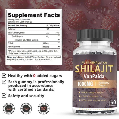 Sugar Free Shilajit Gummies - Energy, Brain & Immune Support | 85 Minerals & Ashwagandha | Raspberry