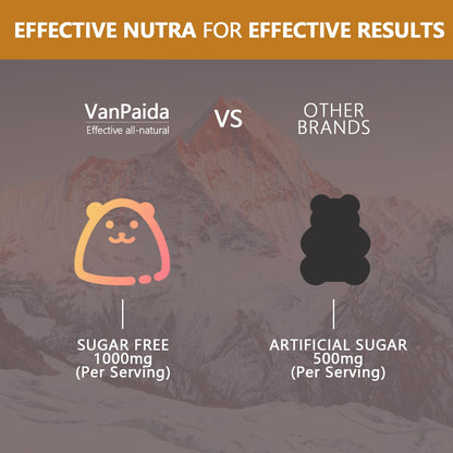 Sugar Free Shilajit Gummies - Energy, Brain & Immune Support | 85 Minerals & Ashwagandha | Raspberry