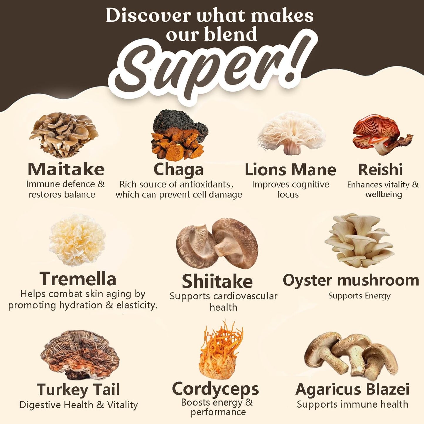 Suiyilary 10 Mushroom Coffee with Arabica – Lion’s Mane & Reishi | 3500mg 10:1 Extract, Focus & Immunity Boost