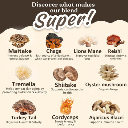 Suiyilary 10 Mushroom Coffee with Arabica – Lion’s Mane & Reishi | 3500mg 10:1 Extract, Focus & Immunity Boost