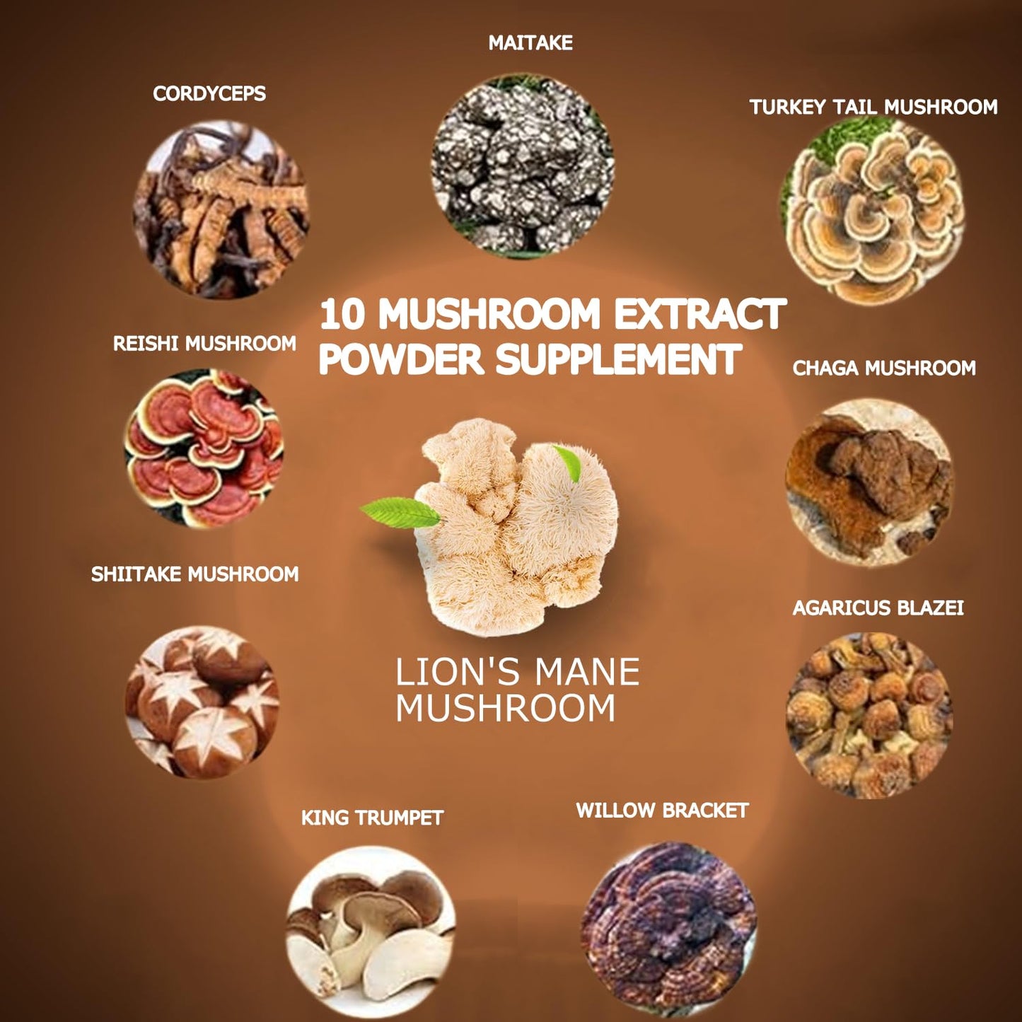 Suiyilary Mushroom Coffee – 10-Mushroom Blend (Lion's Mane, Reishi, Cordyceps) for Energy, Focus & Immunity 150g