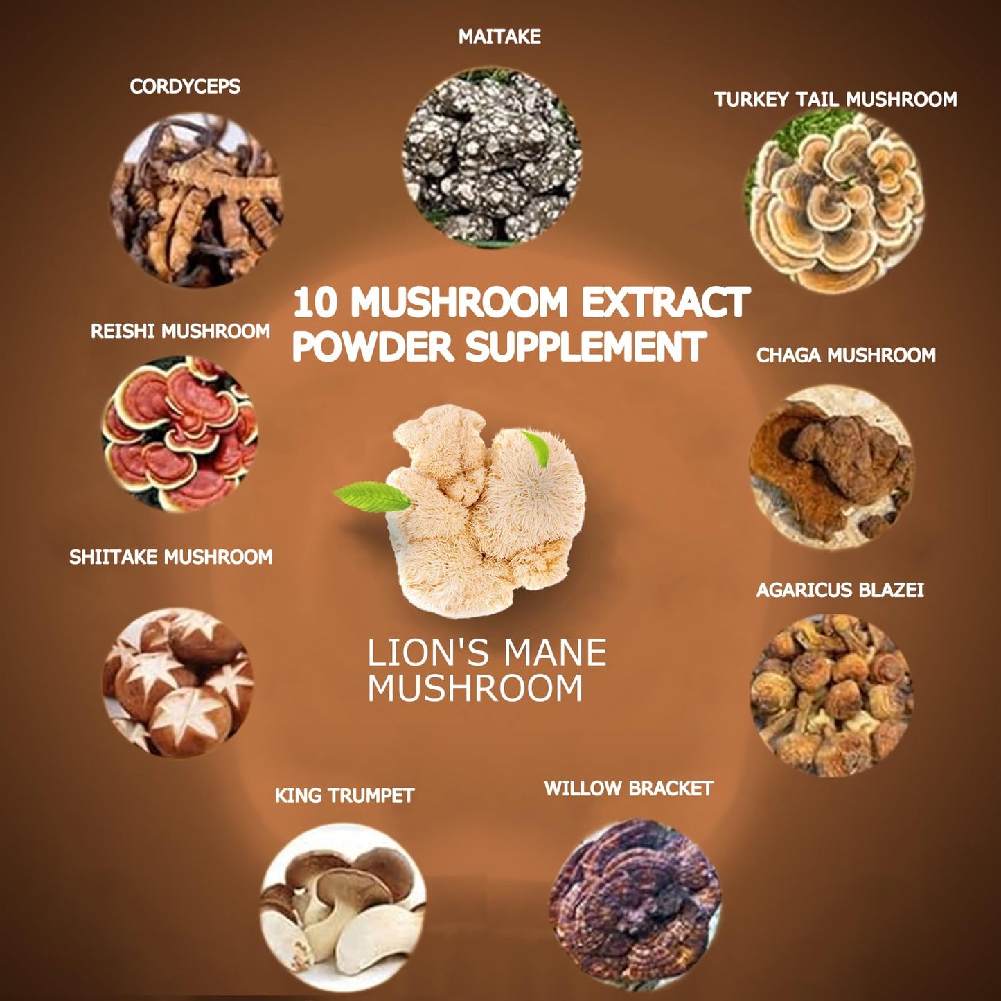 Suiyilary Mushroom Coffee - 10 Mushroom Extract Blend for Energy, Focus & Immunity (300g)