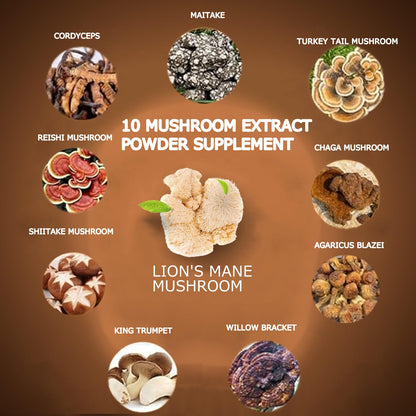 Suiyilary Mushroom Coffee - 10 Mushroom Extract Blend for Energy, Focus & Immunity (300g)
