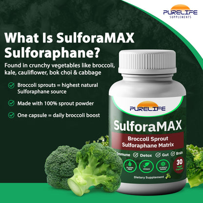 SulforaMAX (30 Capsules) – Sulforaphane Broccoli Immunity Support (10,000 mcg) – Vegan, Non-GMO