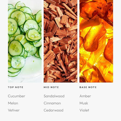 Summer Breeze 50mL – Aroma360 Fragrance Oil for Diffusers