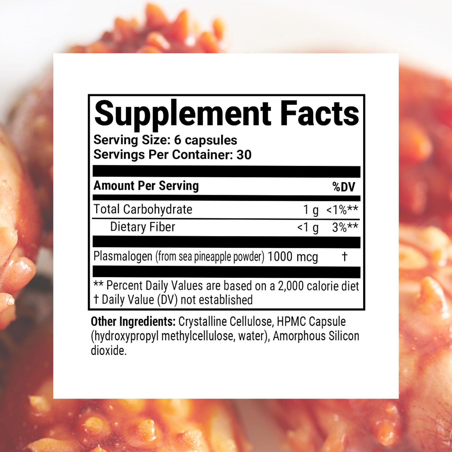 Sun Neuro Nootropic Brain Supplement | Plasmalogen Boost from Sea Pineapples | 180 Caps
