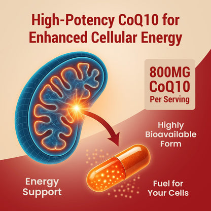 Sundhed Natural CoQ10 800mg – 60 Capsules | Extra Strong Antioxidant
