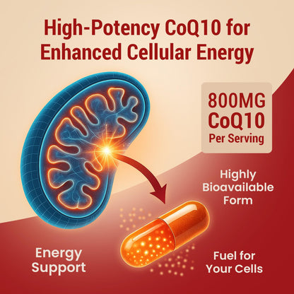 Sundhed Natural CoQ10 800mg Capsules – Powerful Antioxidant (120 Capsules) | Heart Support & Energy