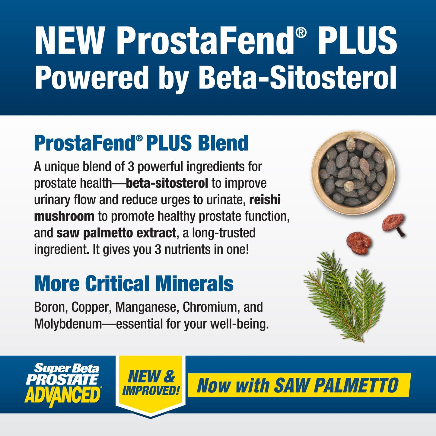 Super Beta Prostate Advanced with Saw Palmetto – Prostate Health & Urinary Support
