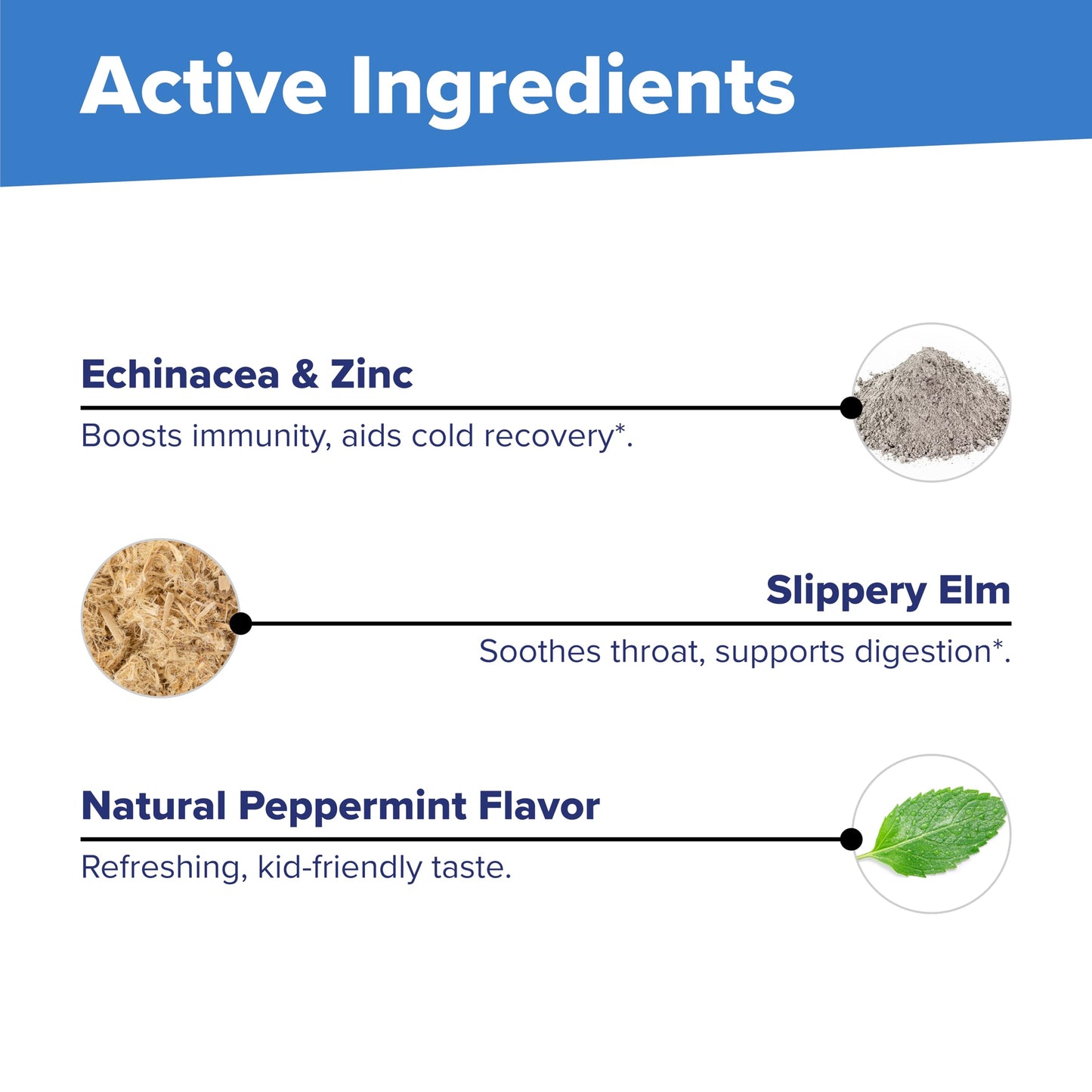 Superior Source Children's Echinacea & Zinc Lozenjets - Immune Support for Kids - Non-GMO & Gluten-Free - Peppermint - 60 MicroLingual Tablets