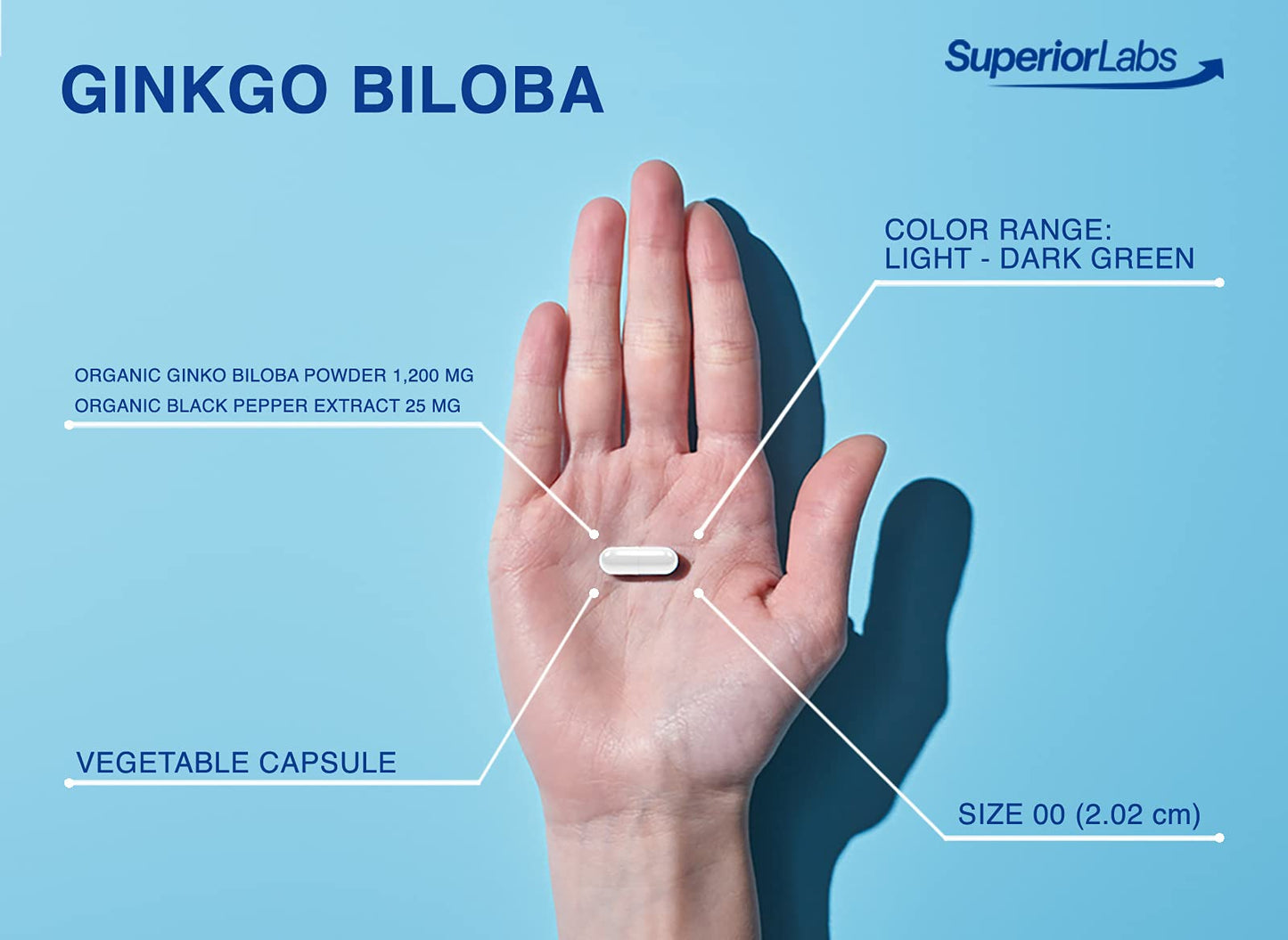 SuperiorLabs Ginkgo Biloba 1200 mg - Non-GMO, Black Pepper Absorption