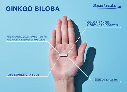 SuperiorLabs Ginkgo Biloba 1200 mg - Non-GMO, Black Pepper Absorption