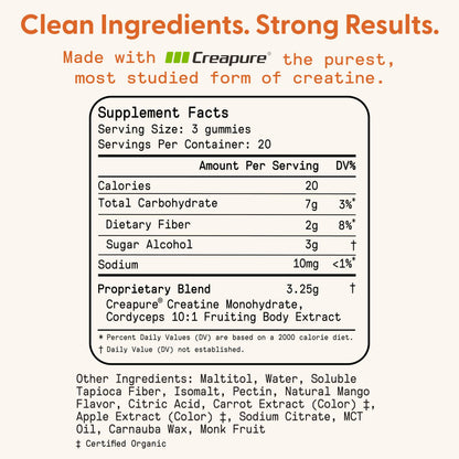 SuperMush Daily Creatine Gummies with Cordyceps – Sugar-Free Vegan Creatine Monohydrate for Strength, Focus & Recovery