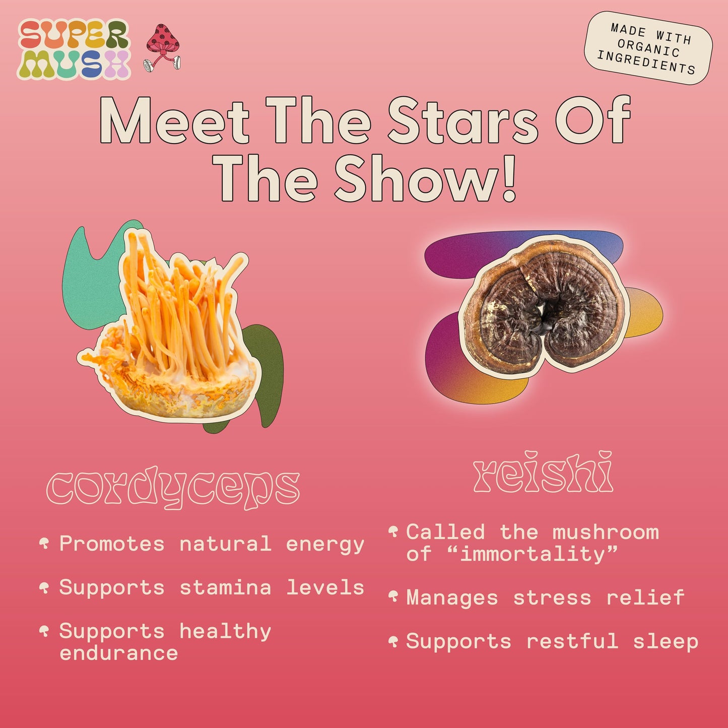SuperMush Daily Creativity and Connection SuppleMint | Cordyceps, Reishi, Maca & Bacopa Monnieri Mixed Mushrooms Extract | Pure Breath Mint for Creativity & Connection | 20g Organic Mushroom Mint