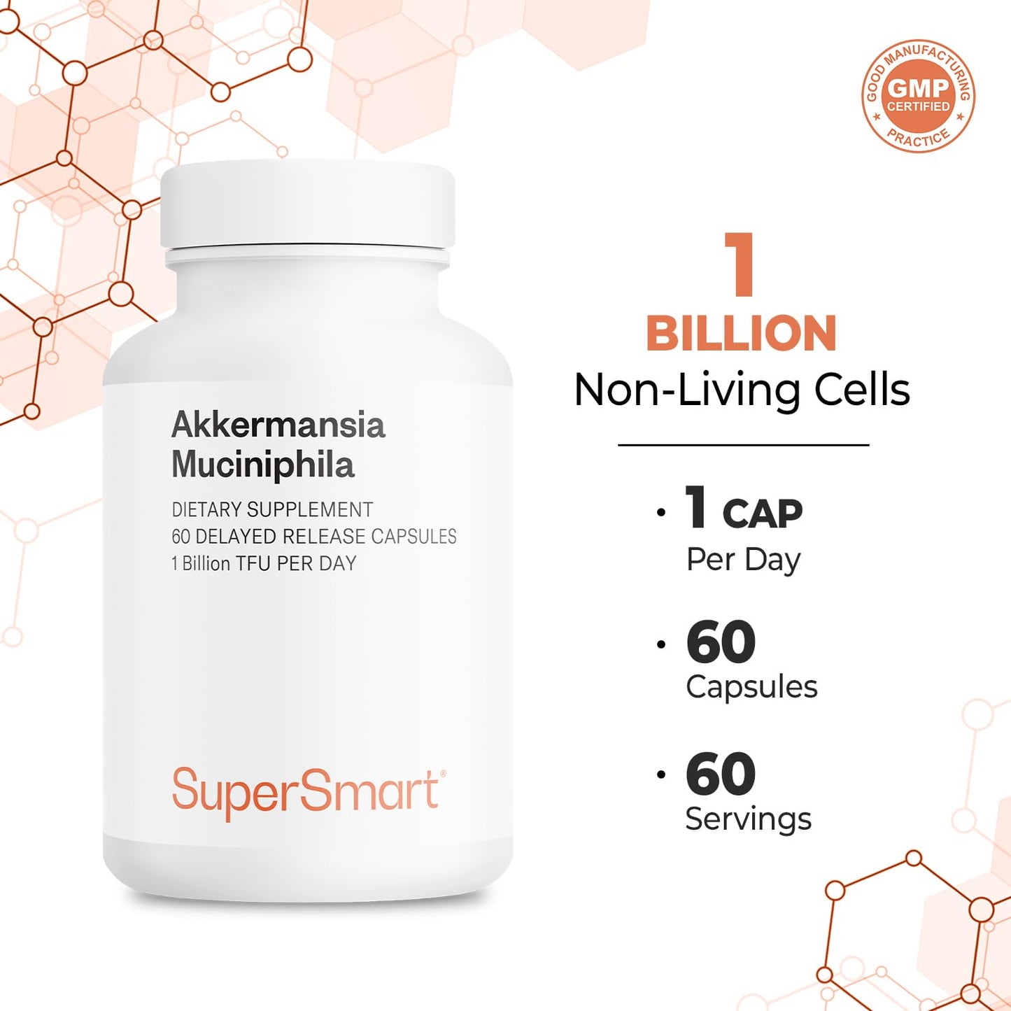Supersmart Akkermansia Muciniphila 1B TFU per Day - Postbiotic Pasteurized Probiotic, 60 Capsules